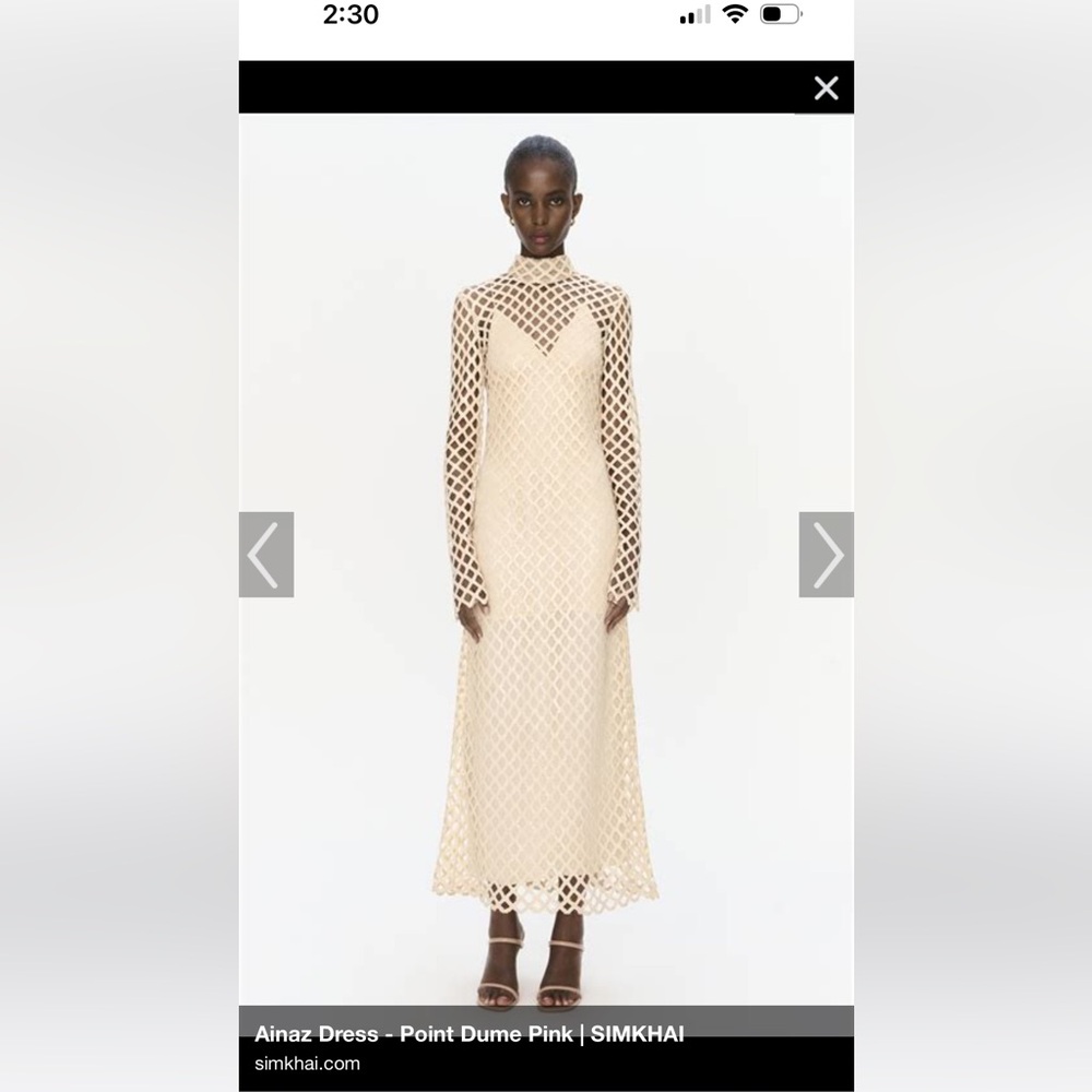 Brand new Jonathan Simkai Ainaz dress